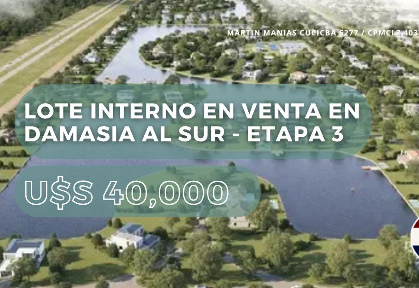 Foto de LOTE INTERNO EN VENTA EN DAMASIA AL SUR, imagen 1