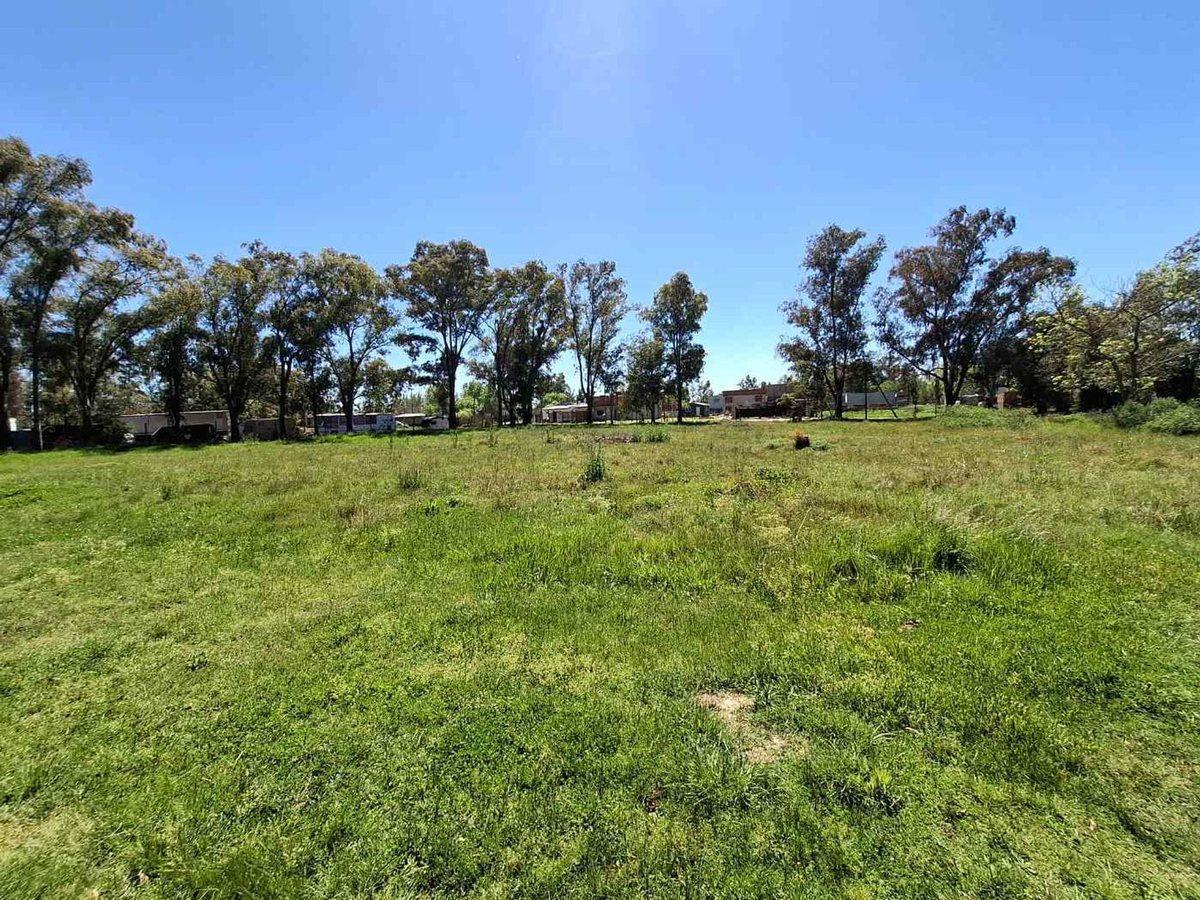 Foto de LOTE EN VENTA EN CAÑUELAS, imagen 3