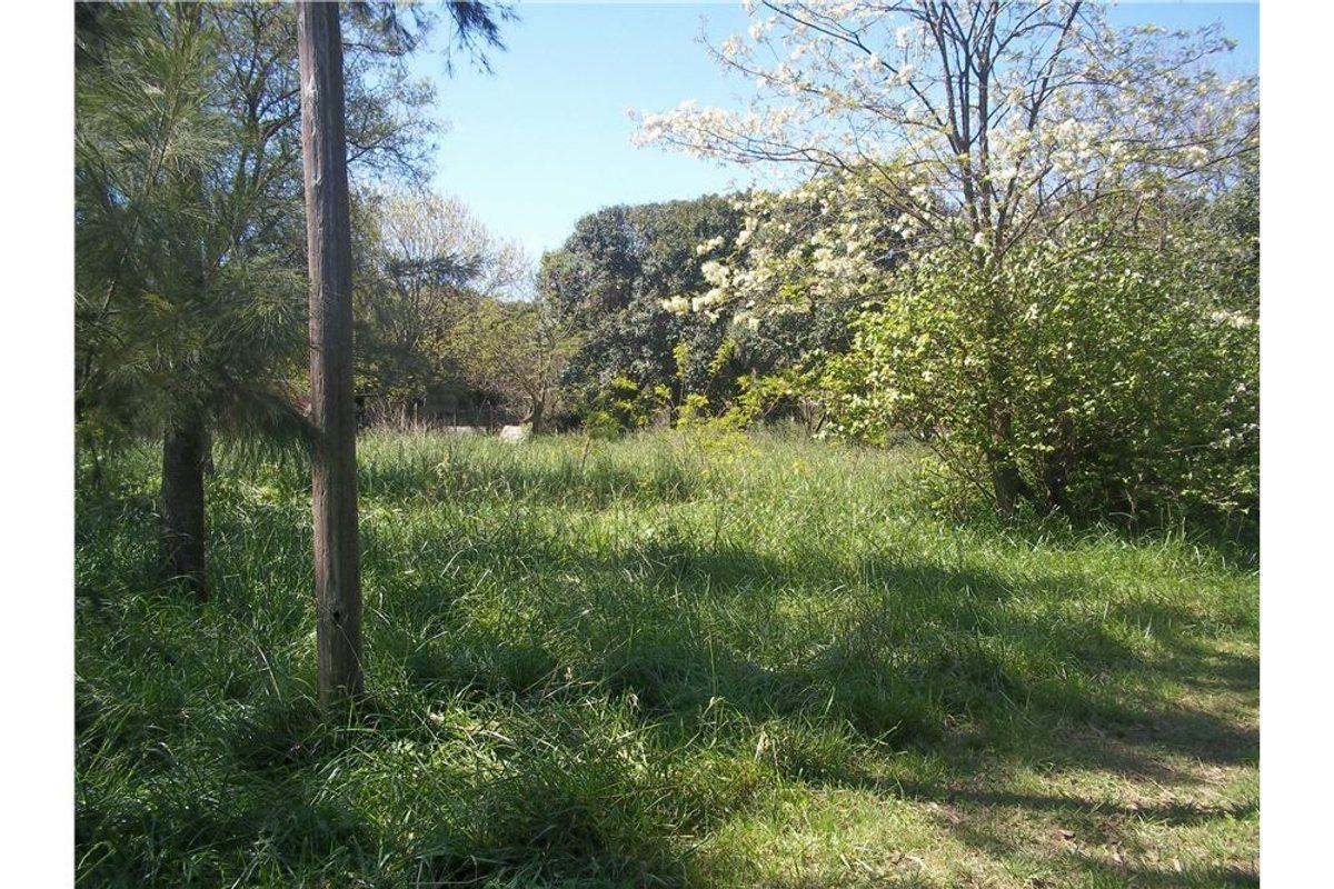Foto de LOTEO CAMINO PANELO - VENTA DE TERRENO EN CAÑUELAS, imagen 4