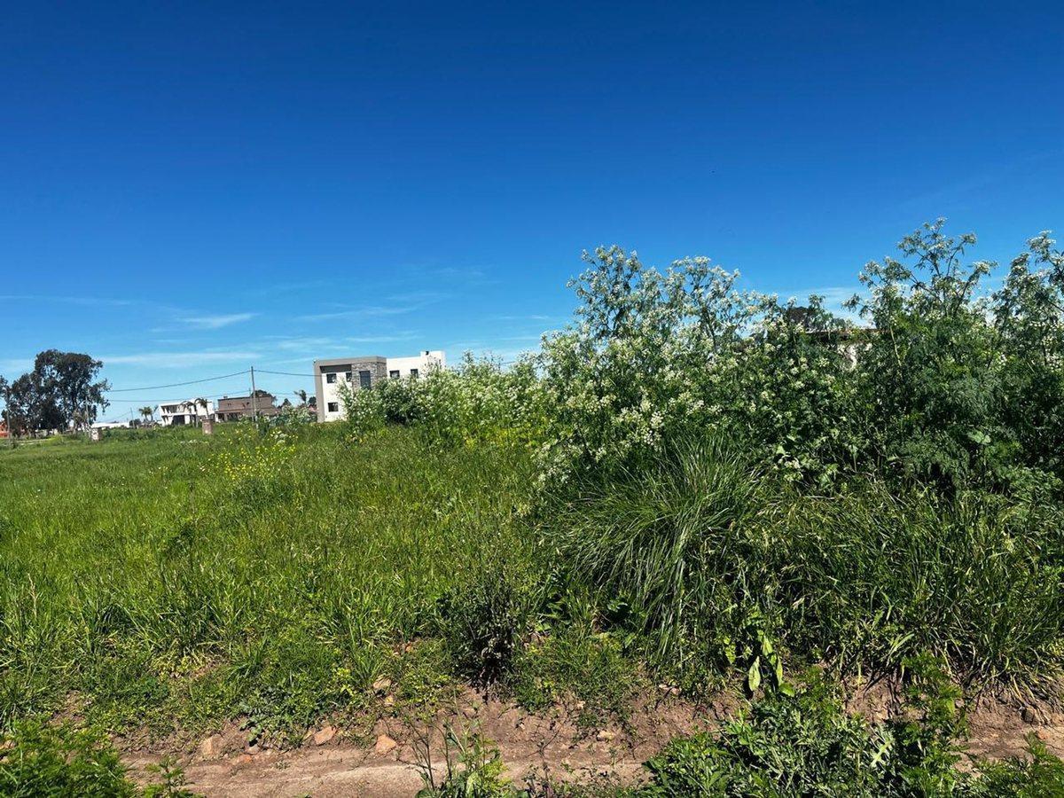 Foto de VENTA DE TERRENO EN LAGOS DE CANNING, imagen 5