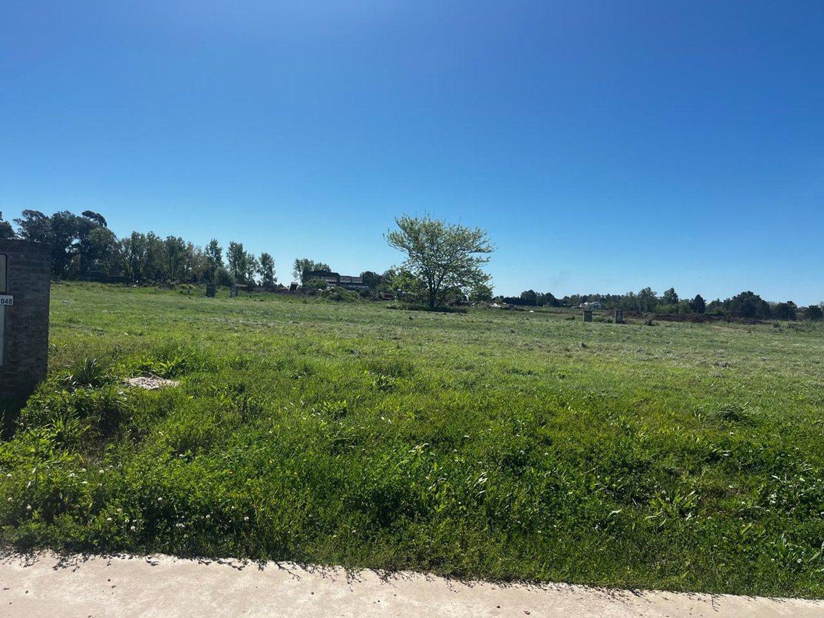 Foto de VENTA DE TERRENO EN LAGOS DE CANNING, imagen 2