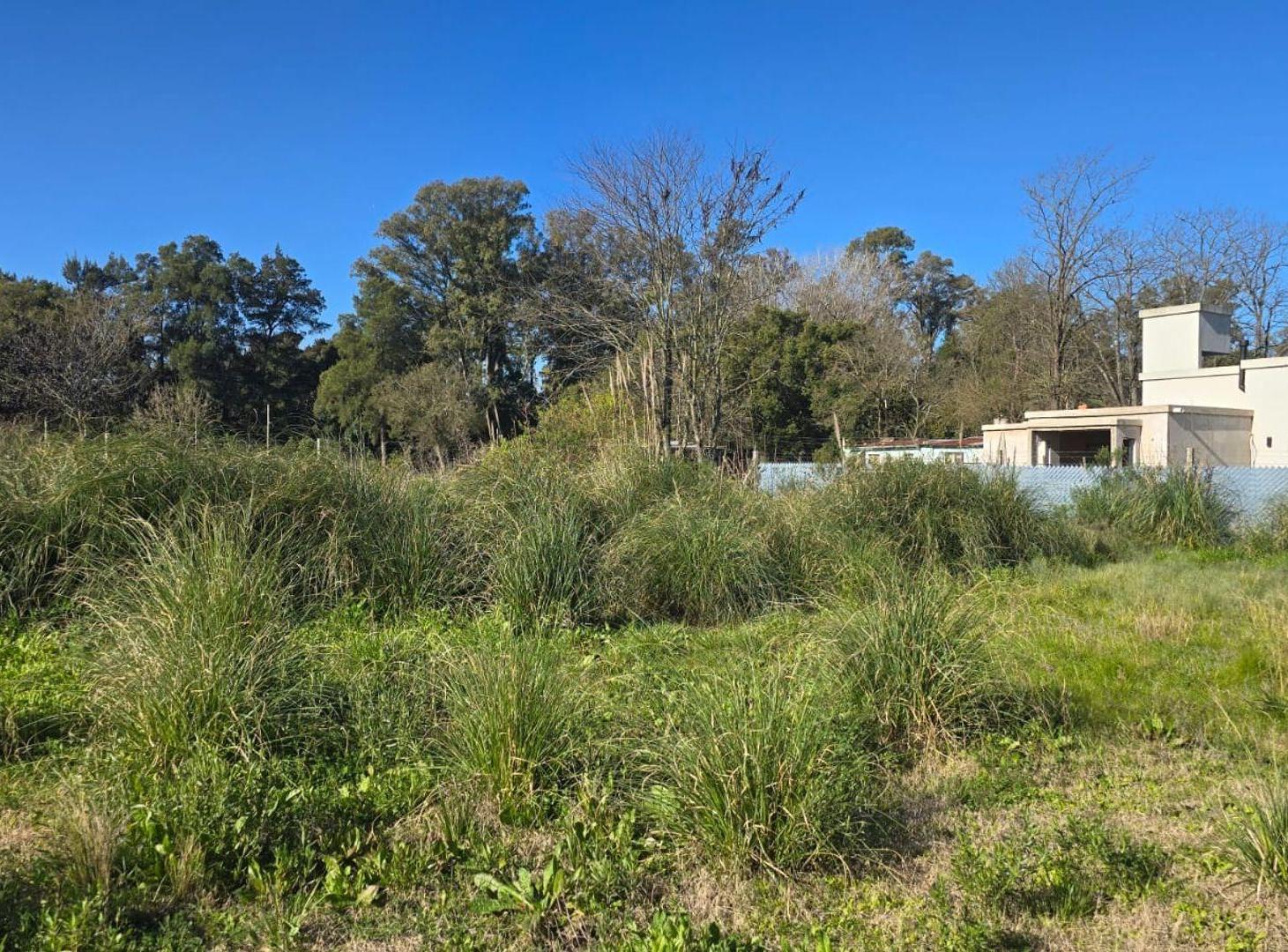 Foto de TERRENO EN CAÑUELAS BARRIO LOS CAMPITOS, imagen 5