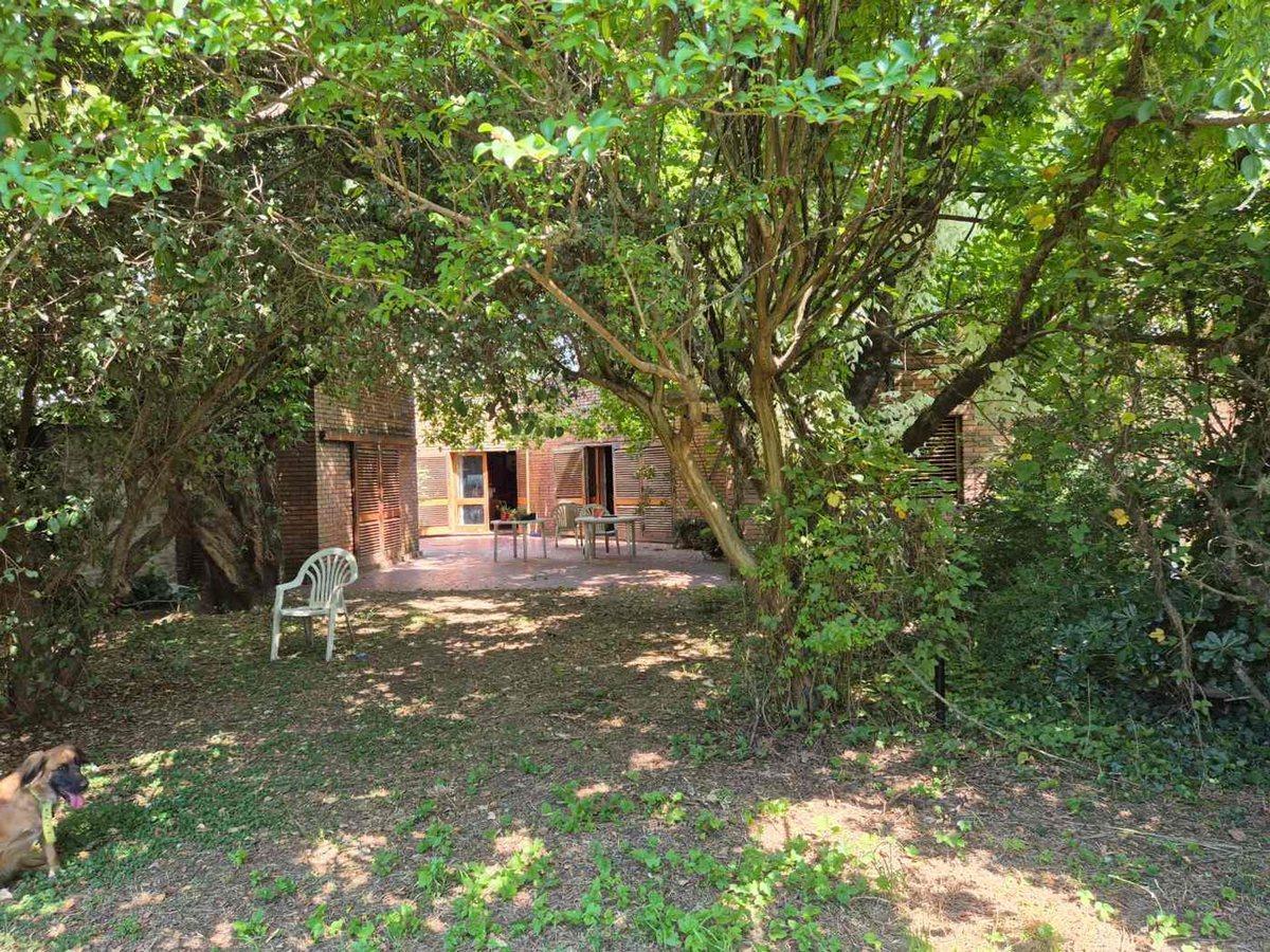 Foto de LOTE EN VENTA ADROGUE 1100m2 IDEAL INVERSOR, imagen 3