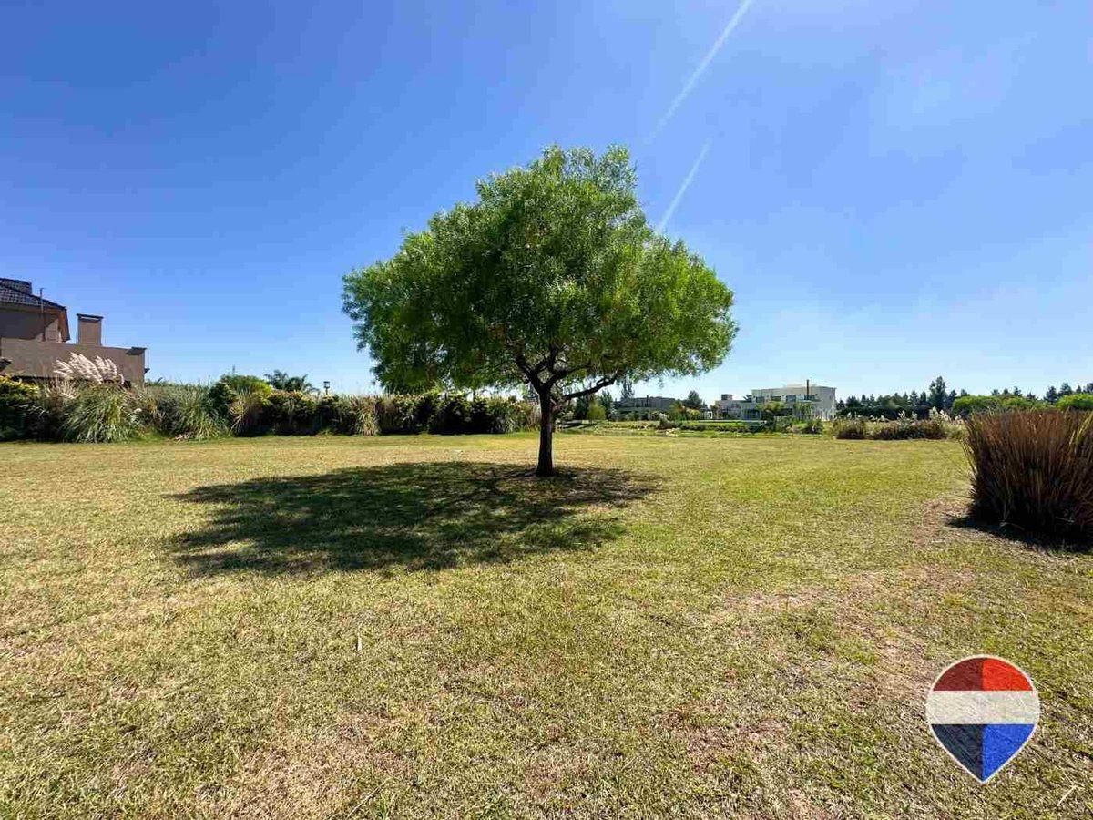 Foto de LOTE EN VENTA EN BARRIO SANTA RITA A LA LAGUNA, imagen 4