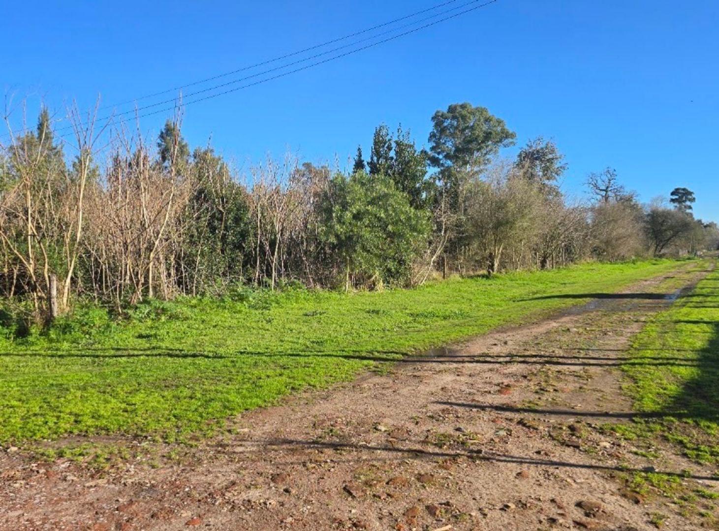 Foto de LOTE EN SANTA ANITA CAÑUELAS, imagen 3