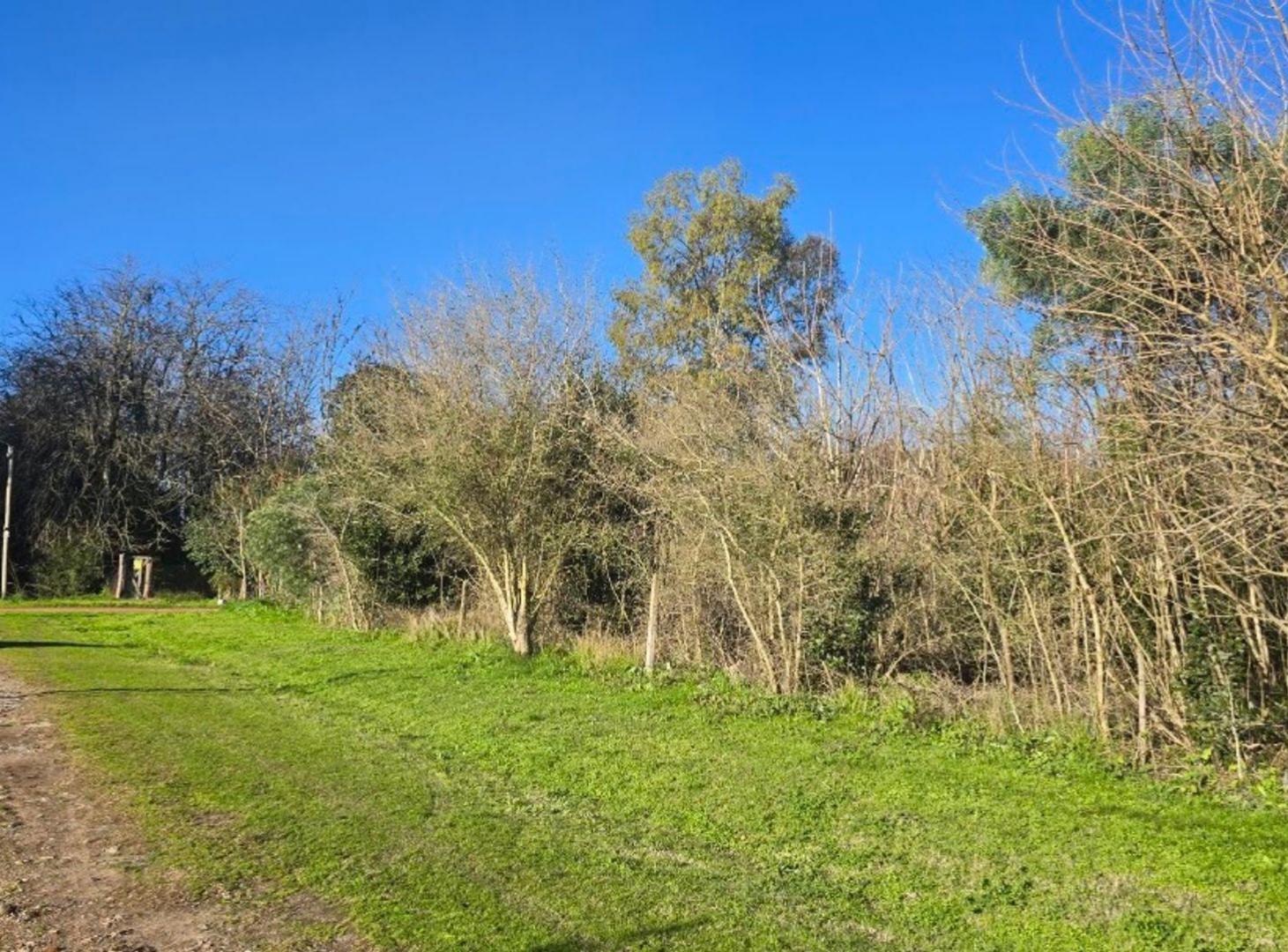 Foto de LOTE EN SANTA ANITA CAÑUELAS, imagen 1