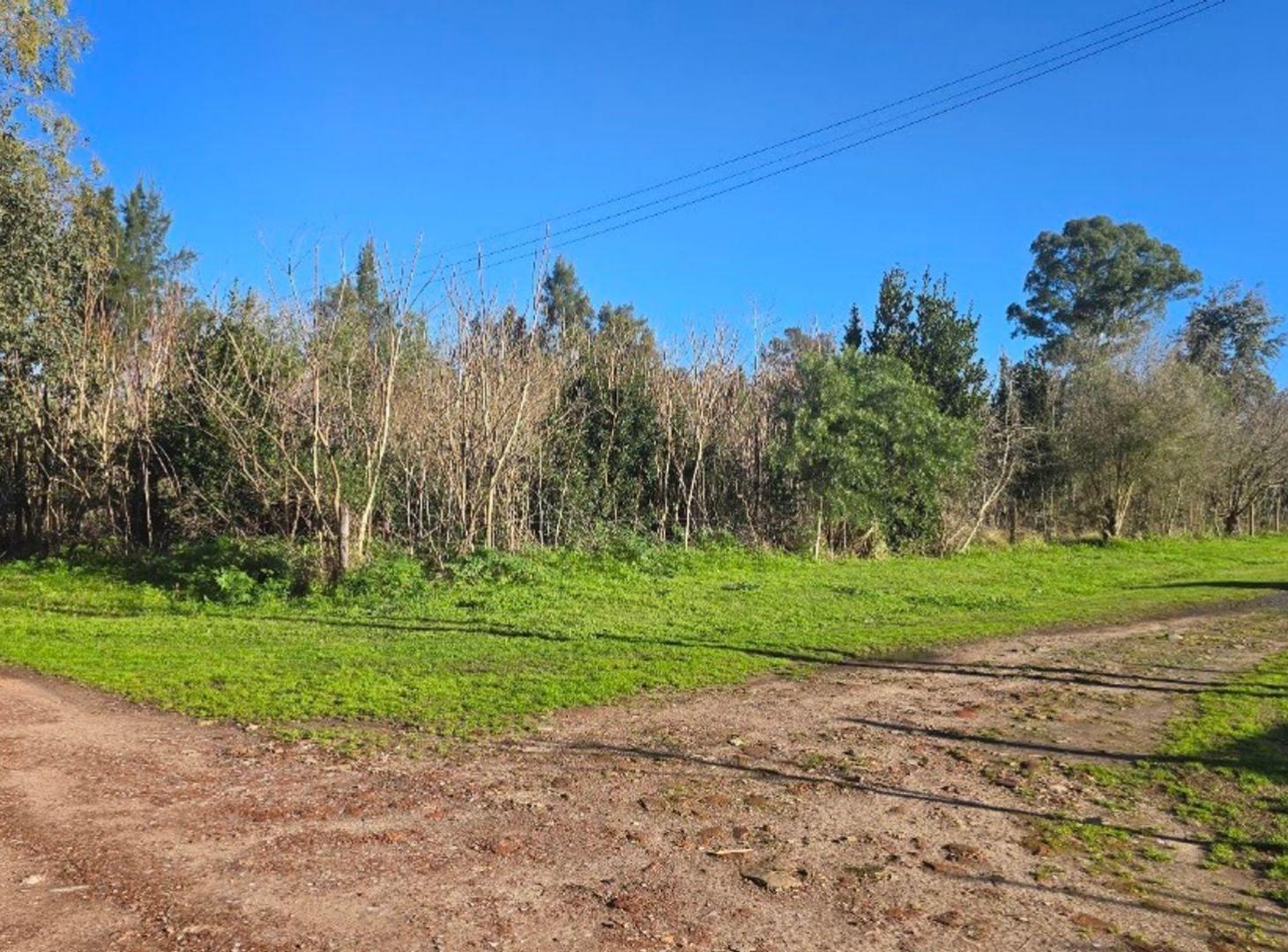 Foto de LOTE EN SANTA ANITA CAÑUELAS, imagen 2