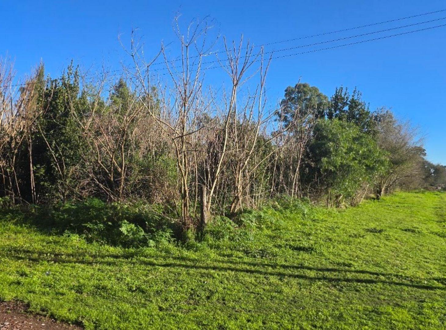 Foto de LOTE EN SANTA ANITA CAÑUELAS, imagen 5