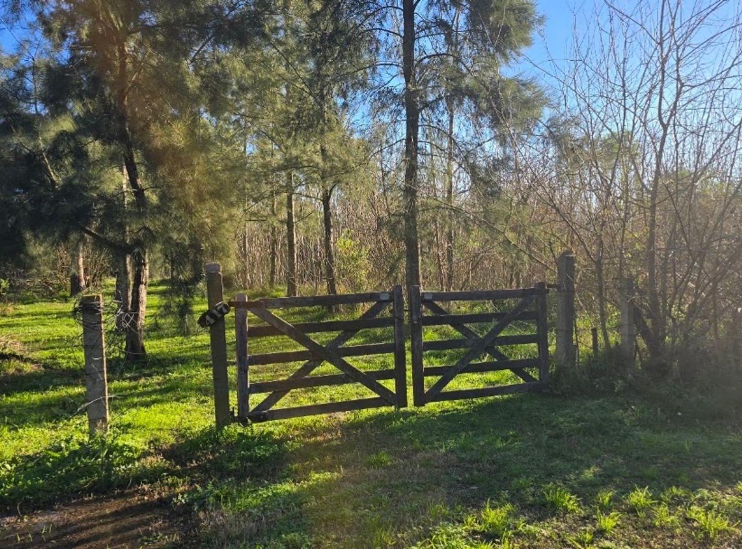 Foto de LOTE EN SANTA ANITA CAÑUELAS, imagen 4