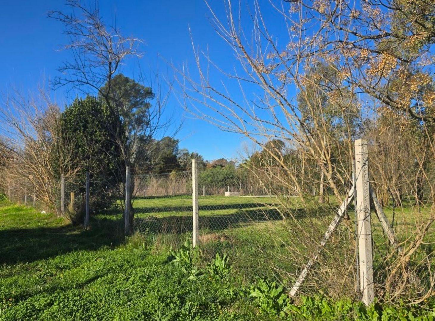 Foto de LOTE EN VENTA EN SANTA ANITA CAÑUELAS, imagen 4