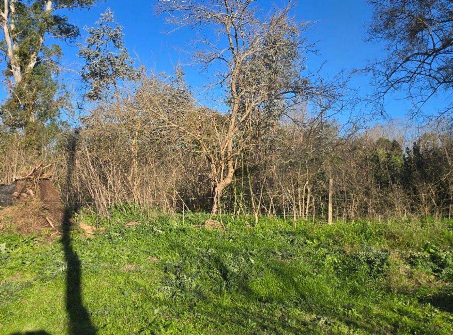 Foto de LOTE EN VENTA EN SANTA ANITA CAÑUELAS, imagen 3