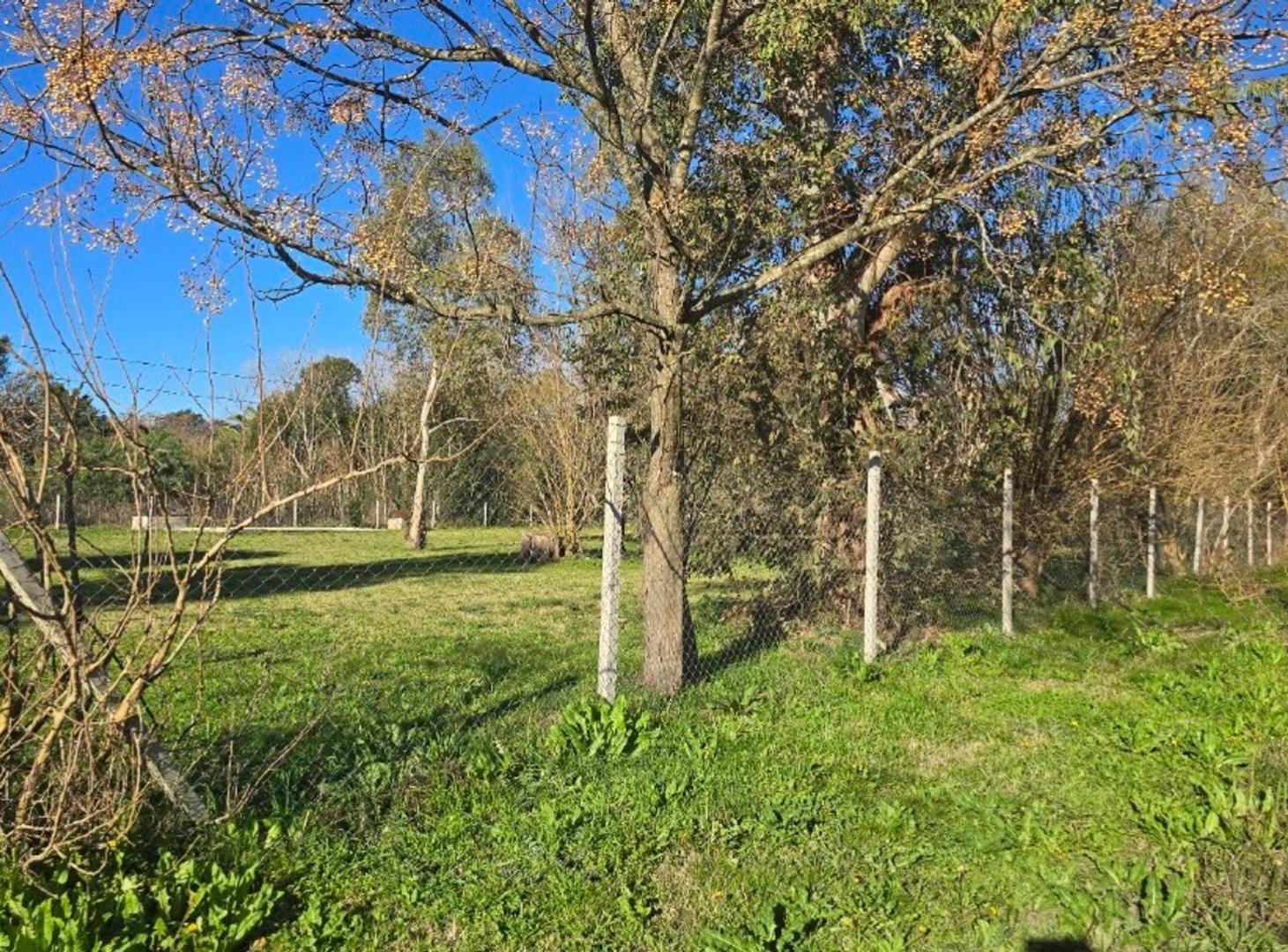 Foto de LOTE EN VENTA EN SANTA ANITA CAÑUELAS, imagen 5