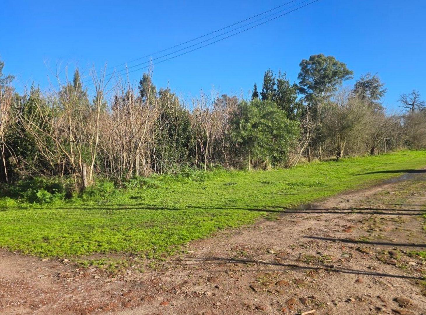 Foto de LOTE EN VENTA EN SANTA ANITA CAÑUELAS, imagen 2