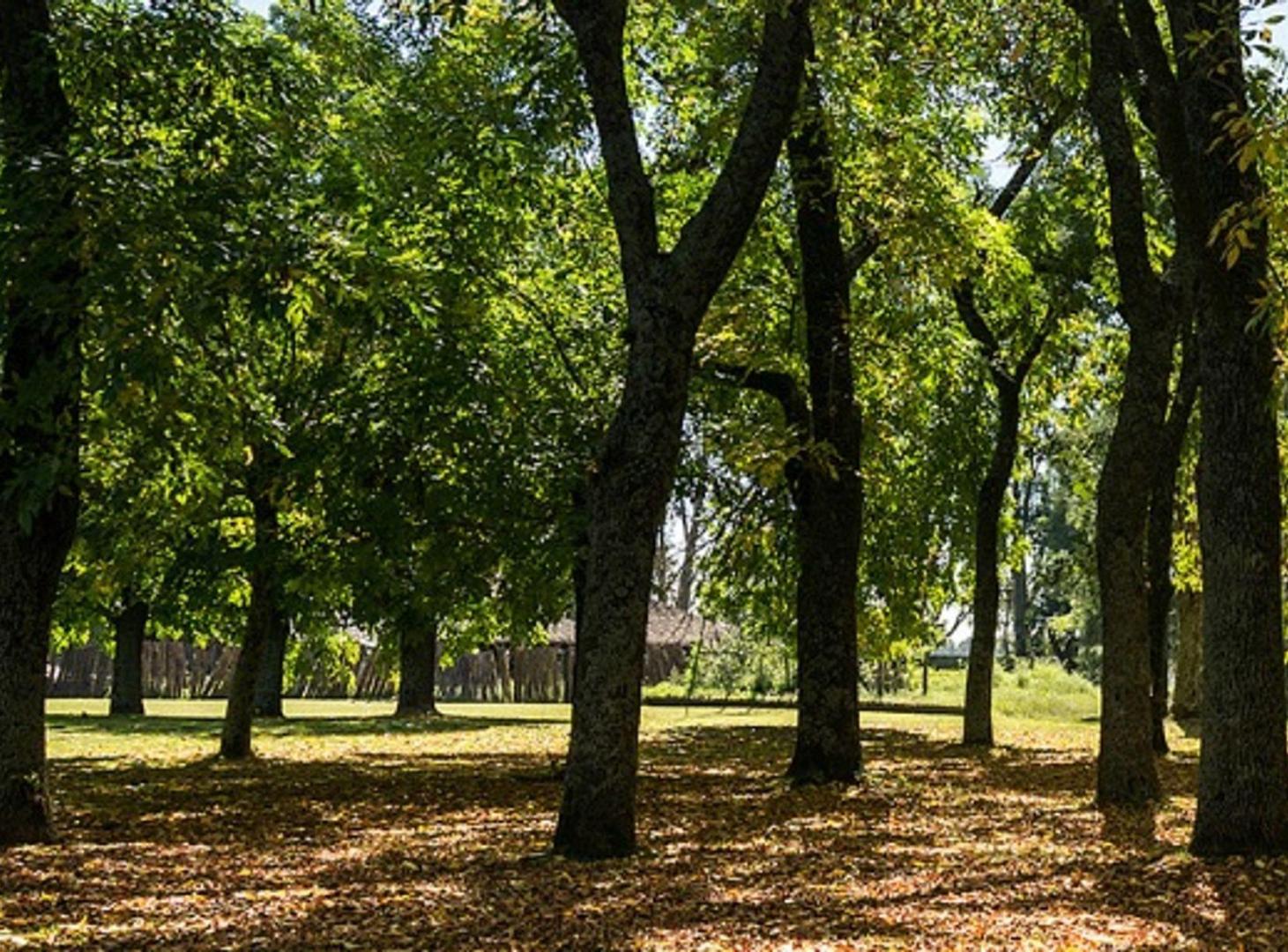 Foto de LOTE EN VENTA EN LA MAGDALENA ACEPTA FINANCIACION, imagen 1