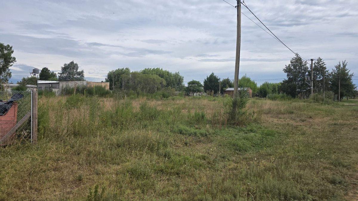 Foto de TERRENO EN EL TALADRO CAÑUELAS, imagen 4