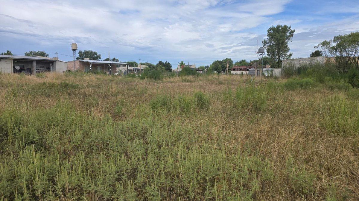 Foto de TERRENO EN EL TALADRO CAÑUELAS, imagen 3