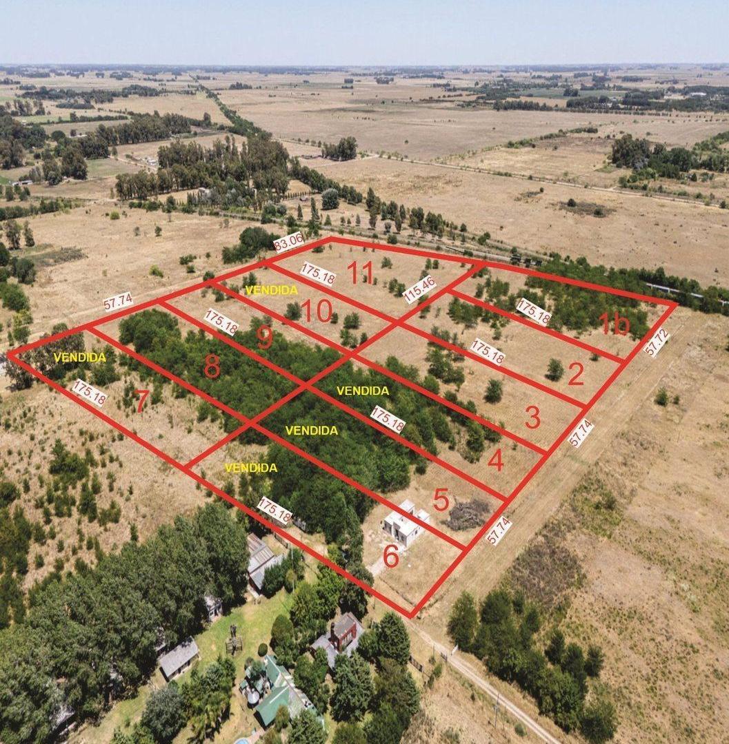 Foto de CHACRA DE 1 HECTAREA EN VENTA EN CAÑUELAS, imagen 1