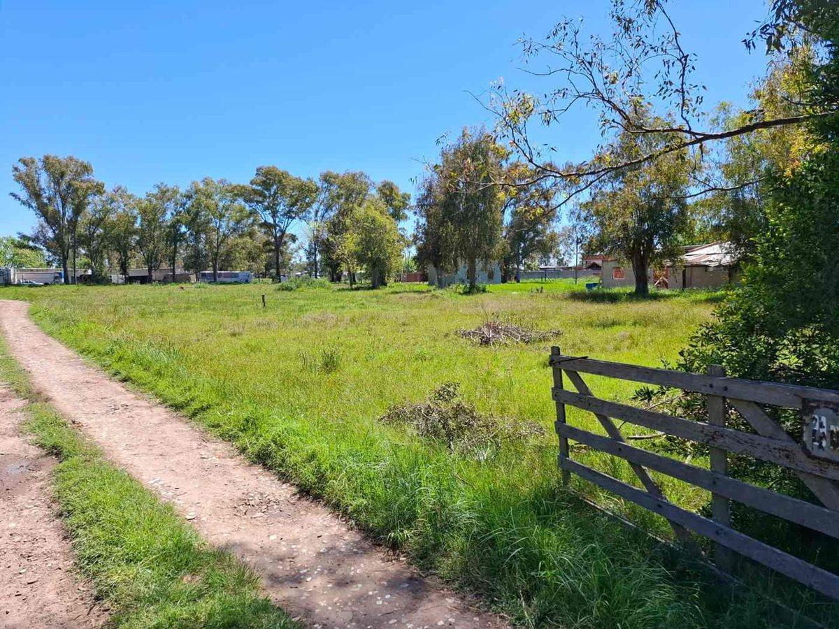 Foto de LOTE EN VENTA EN CAÑUELAS, imagen 2