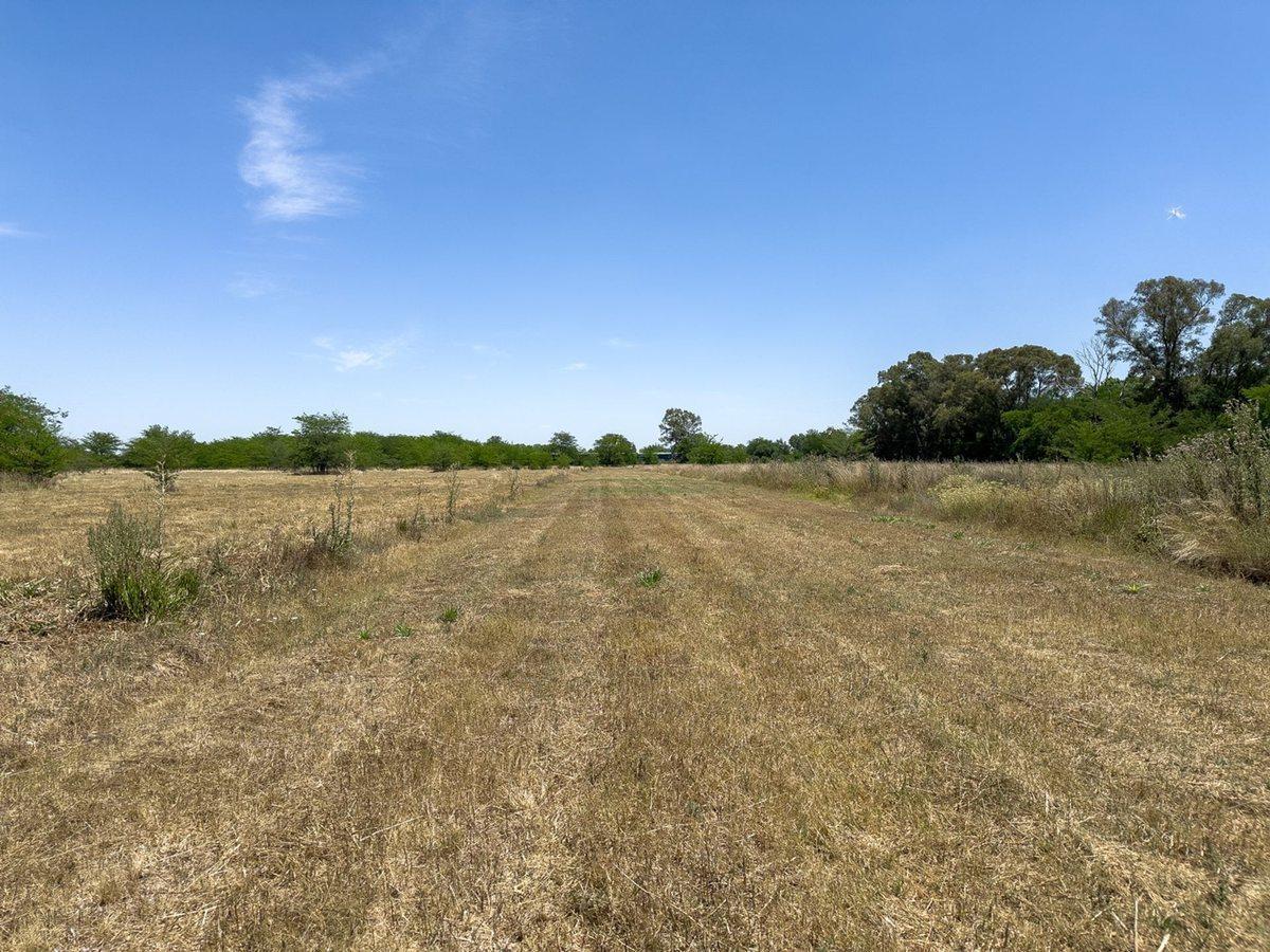 Foto de CHACRA DE 1 HECTAREA EN VENTA EN CAÑUELAS, imagen 5
