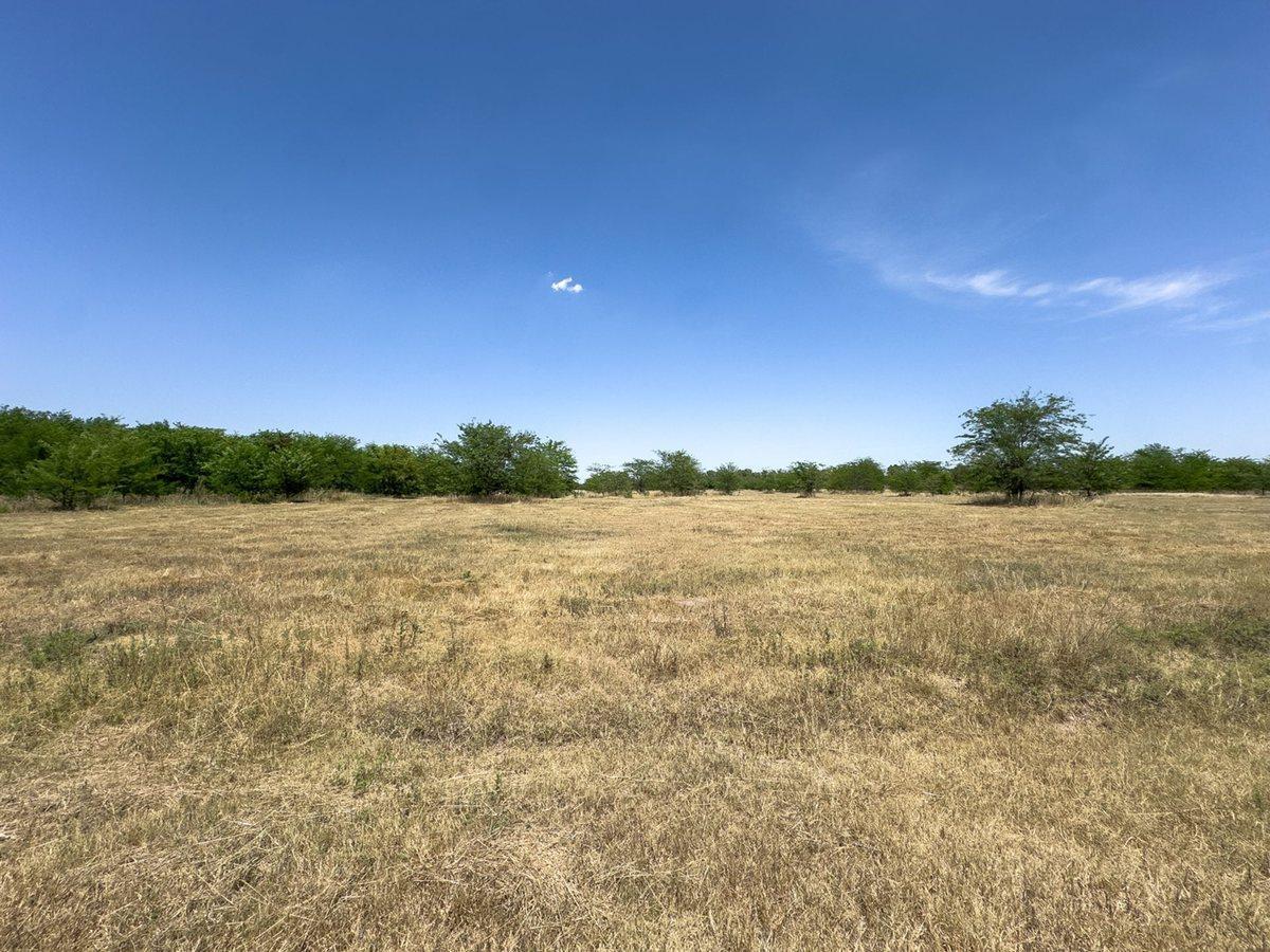 Foto de CHACRA DE 1 HECTAREA EN VENTA EN CAÑUELAS, imagen 4