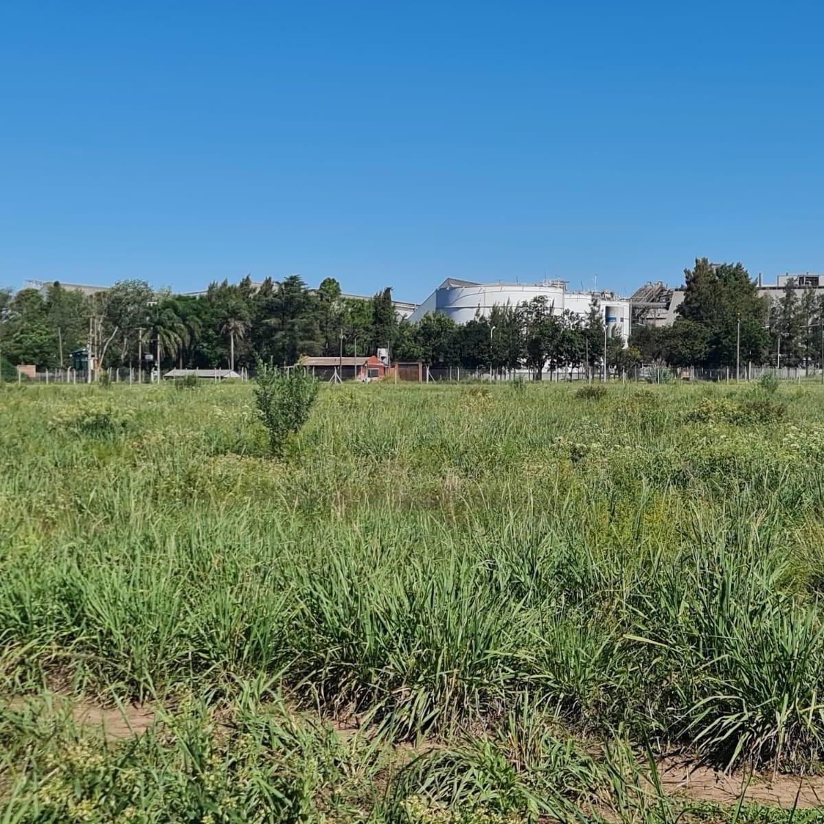 Terrenos en Venta (Lotes 2 y 3) en Gálvez - Usd 4.350 2