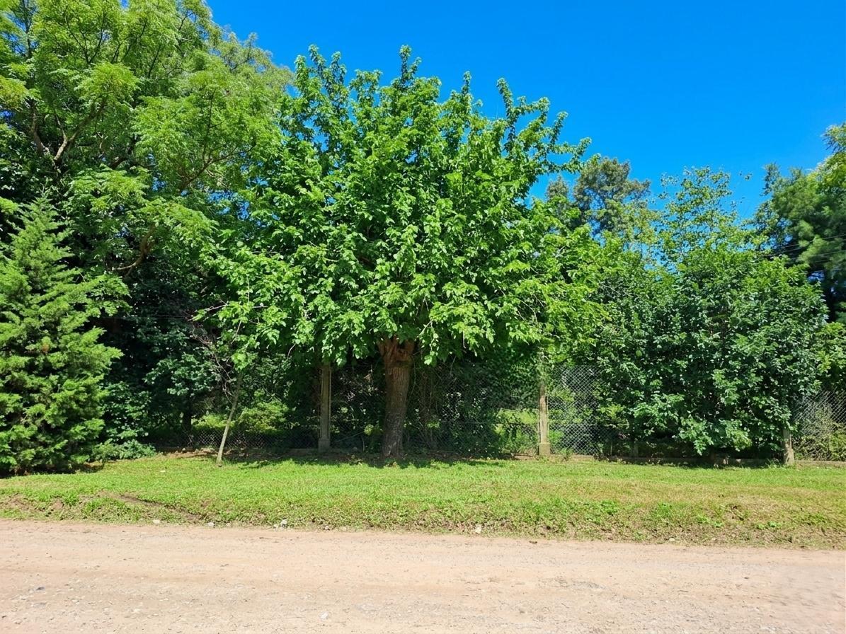 Terreno 976 M2 en Roldán - En Venta -  USD 73.000