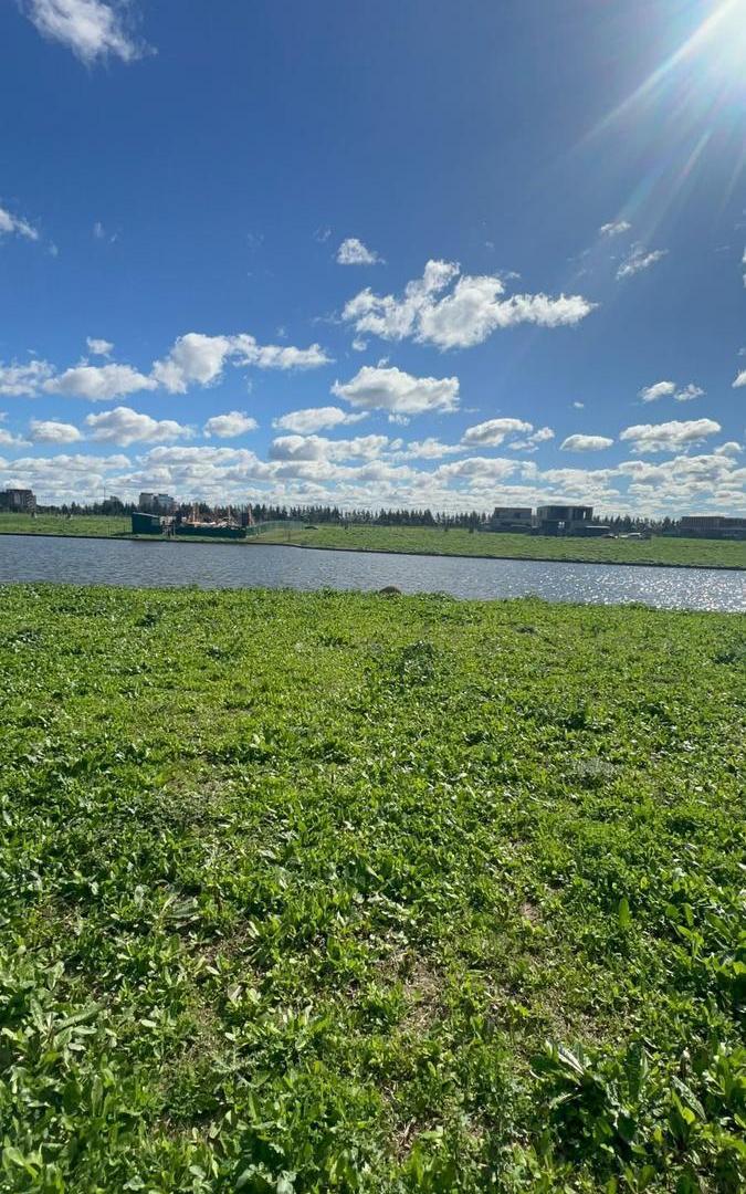 Foto de Terreno en venta al Agua en SIlvestre, Nordelta., imagen 5