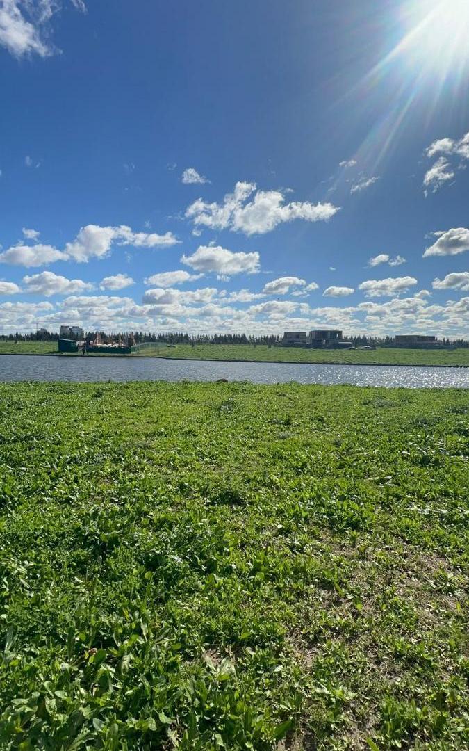 Foto de Terreno en venta al Agua en SIlvestre, Nordelta., imagen 1