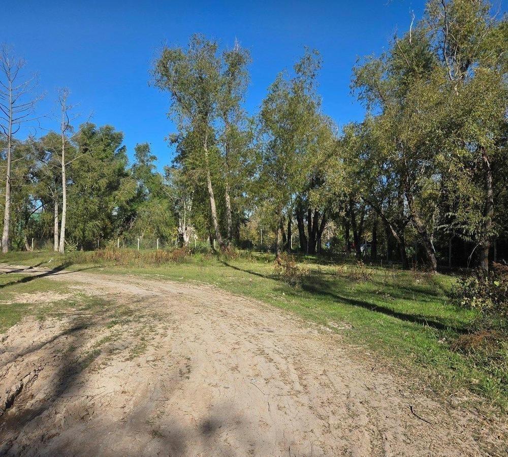 Foto de Terreno en venta Villa la ñata- Rio Lujan, imagen 5