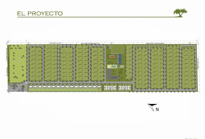 Plano 5