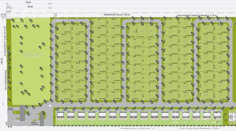 Plano 4
