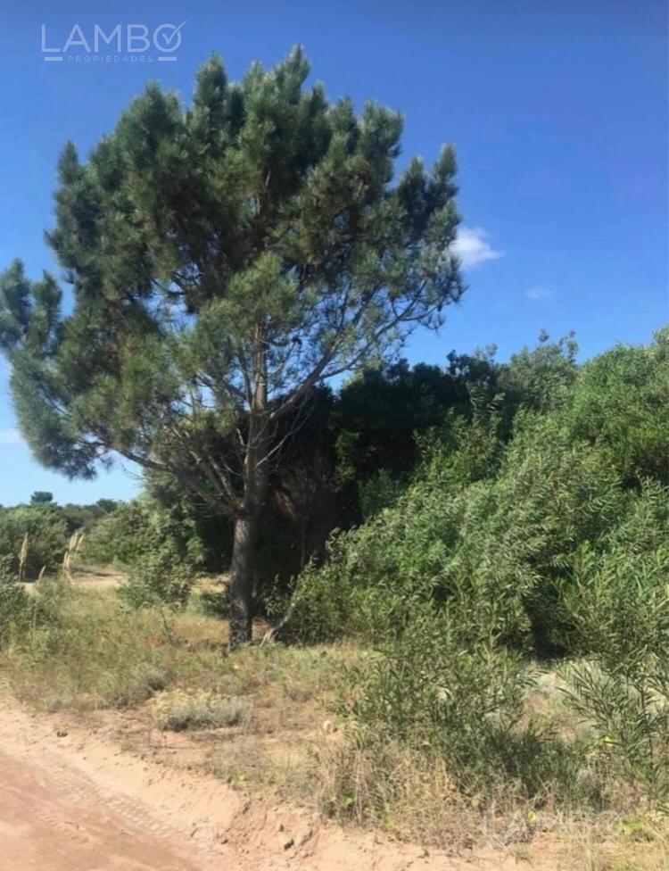 Venta Lote Terreno Costa Esmeralda 5