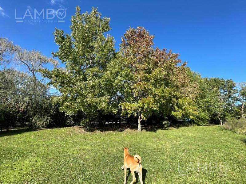 Venta - Casa - Quinta Pilar - La Esperanza Cc 5
