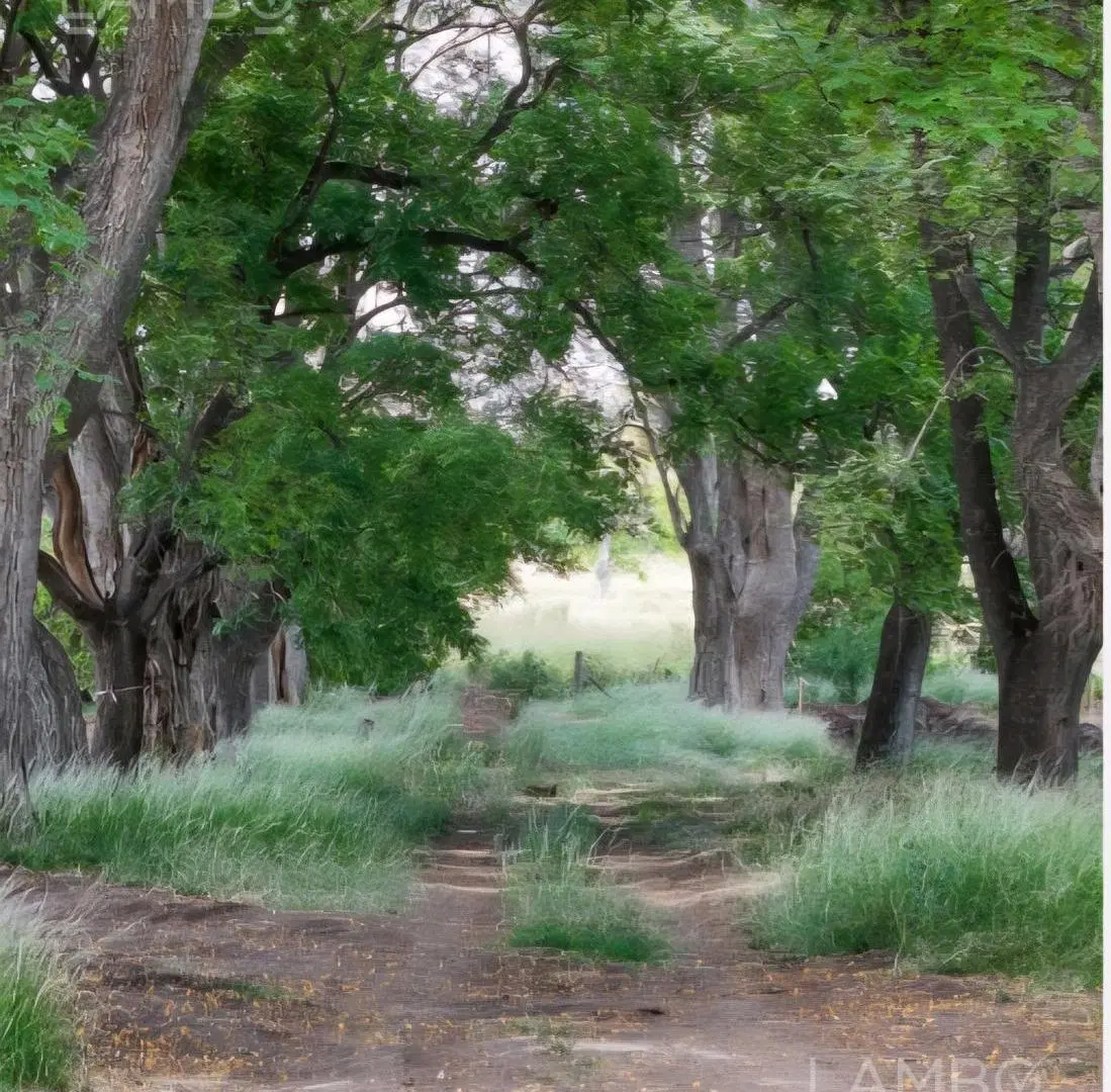 Venta Lote Pilar Estancia Carabassa 3