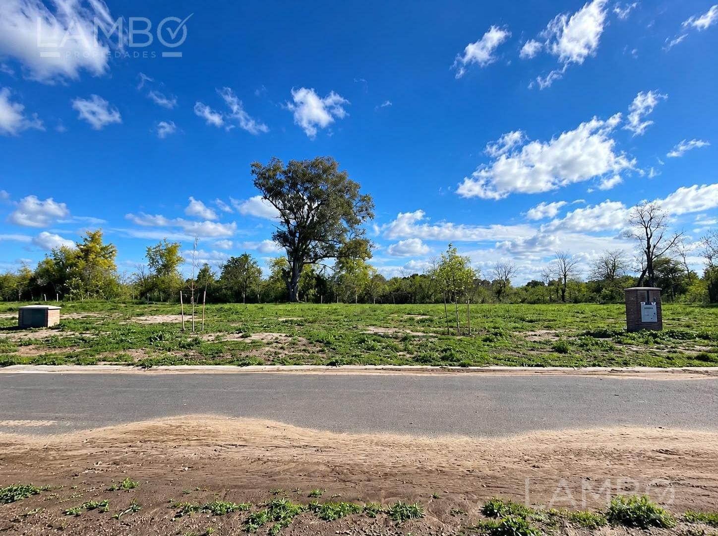 Foto de Venta Lote Terreno Estancia Carabassa, imagen 2