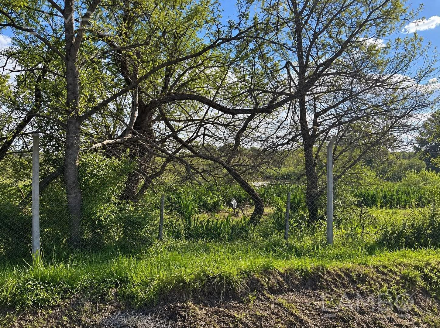 Foto de Venta Lote Terreno Estancia Carabassa, imagen 3