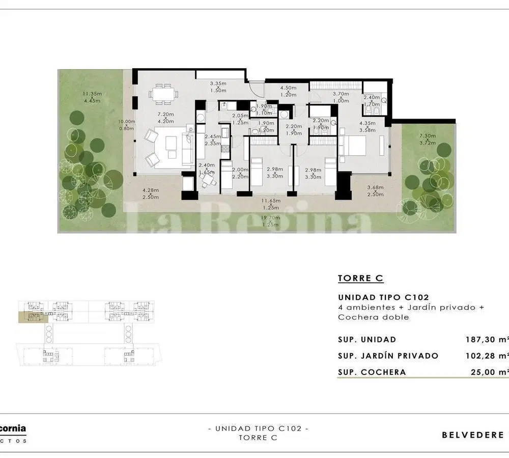 Plano 8