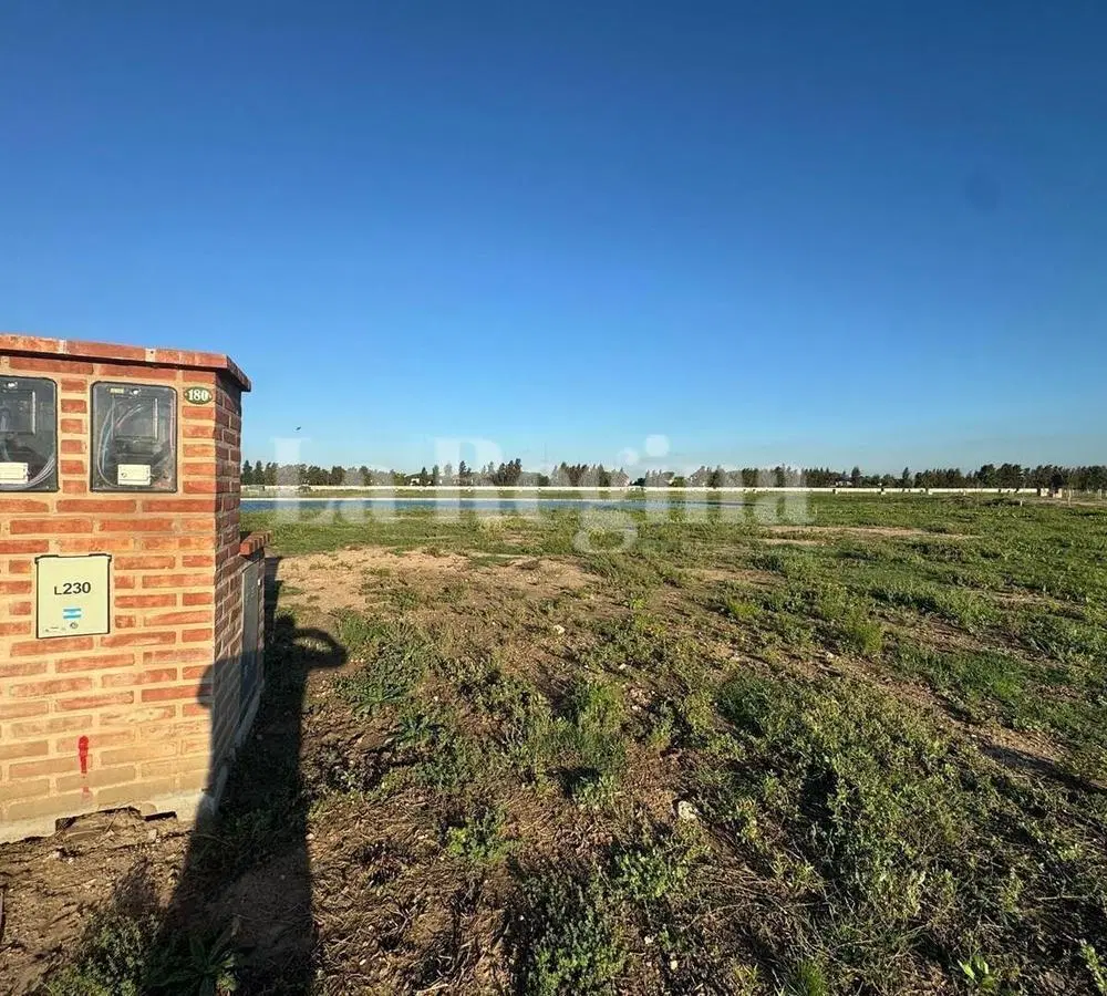 Terreno Lote  en Venta en Silvestre, Nordelta, Tigre 5