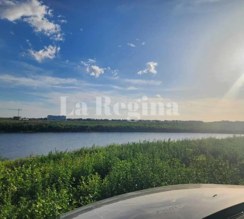 Terreno Lote en Venta en Gaviotas, Nordelta, Tigre 8