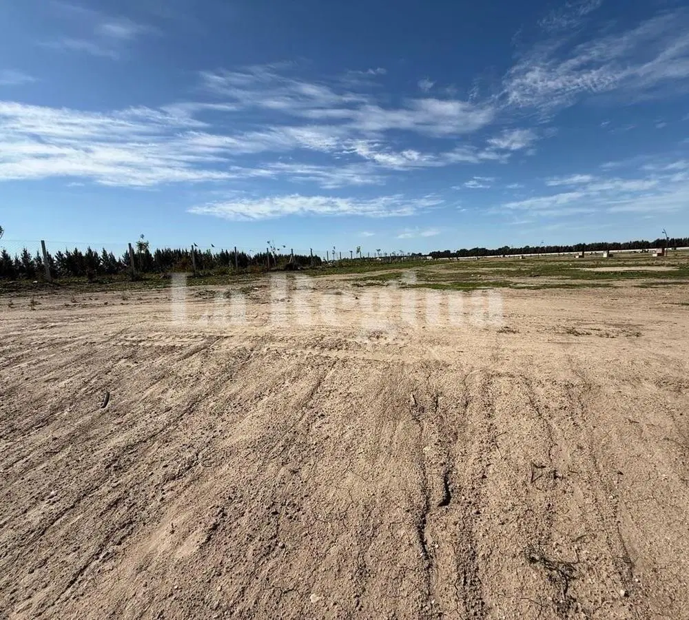 Terreno Lote  en Venta en Silvestre, Nordelta, Tigre 4