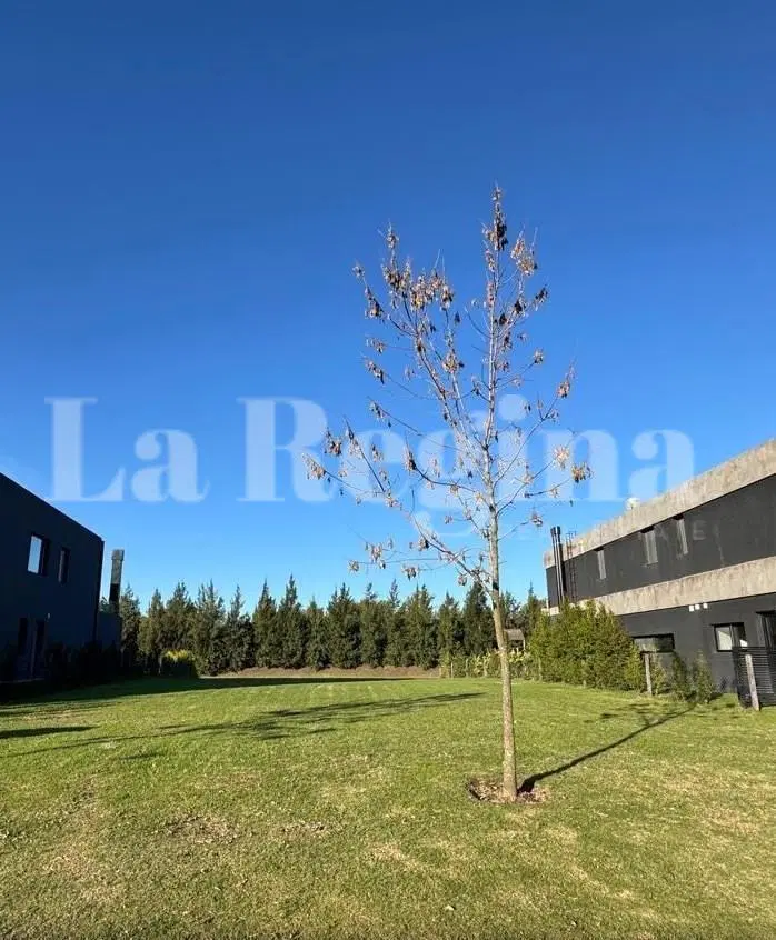 Terreno Lote  en Venta en Virazón, Nordelta, Tigre 3