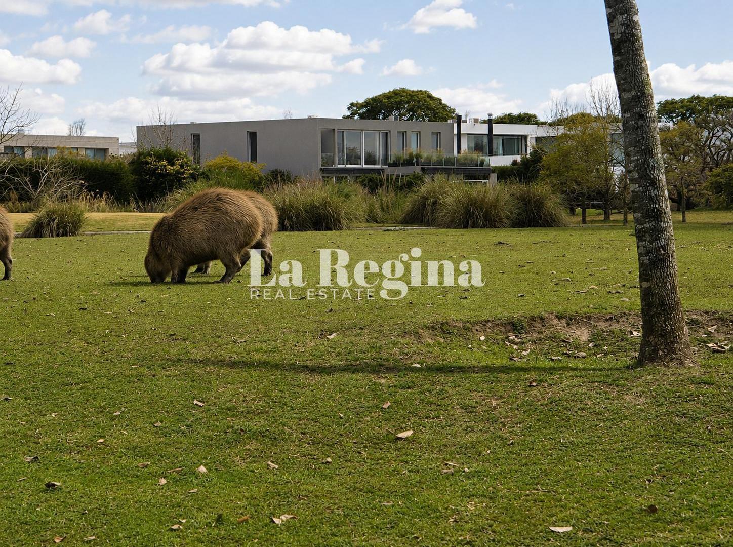 Foto de Terreno en El Golf, imagen 1