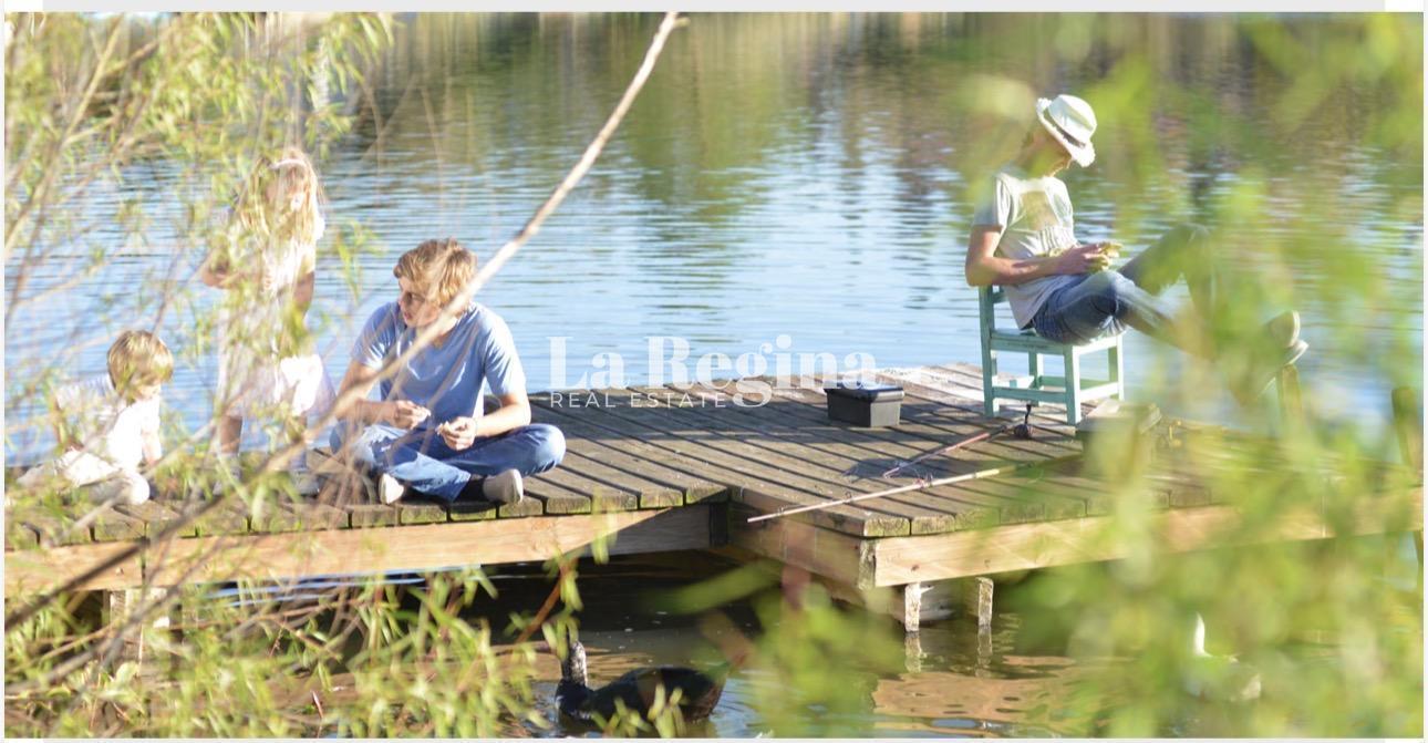 Foto de Lote al lago en San Pedro, Villanueva a la venta, imagen 4