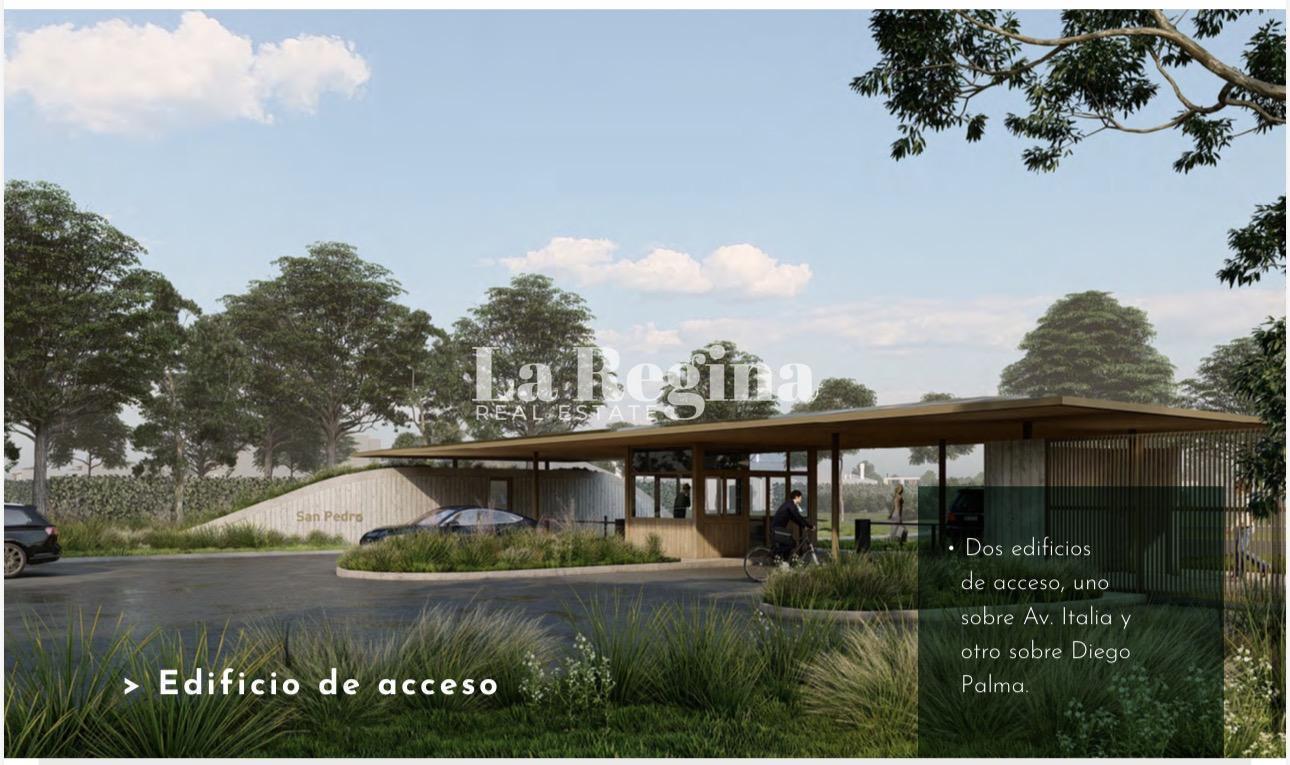 Foto de Lote a la venta perimetral sobre la calle Diego Palma, en San Pedro, imagen 1
