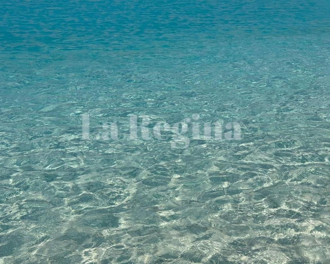 Foto de Departamento en Alquiler en Remeros Beach, Rincón de Milberg, Tigre, imagen 5