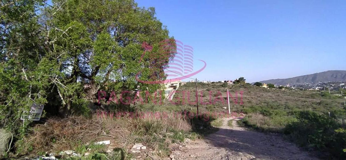 Foto de Hectarea en venta barrio Villa Ernestina ideal como inversion, imagen 4