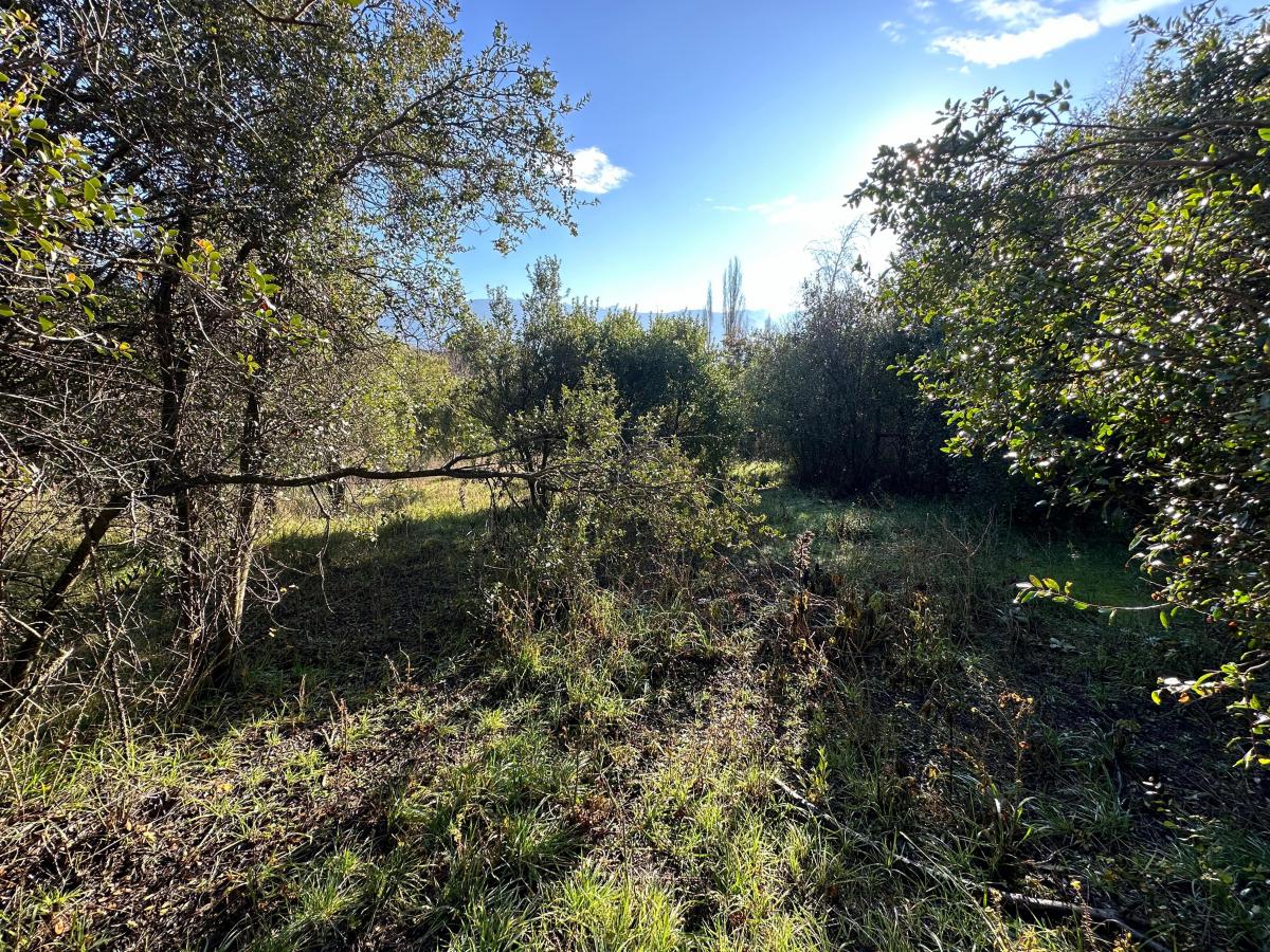 Terreno Venta Patagonia 3