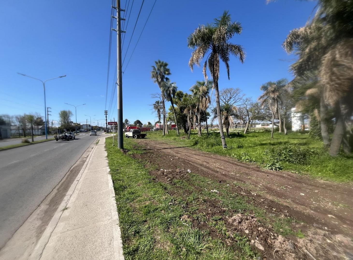 VENTA FRACCIÓN / TERRENO 140.000 M2 MATHEU-ESCOBAR