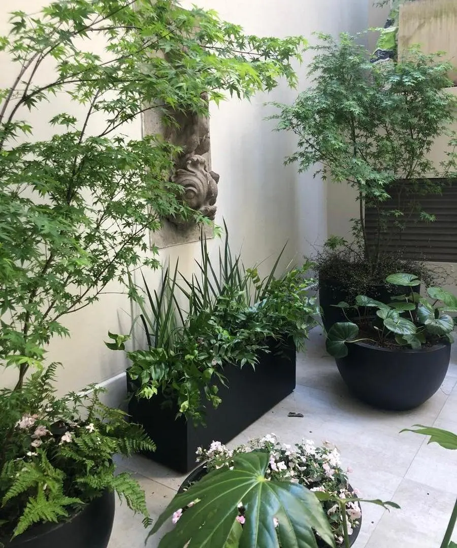 VENTA dpto. 2 ambientes con Patio - Recoleta 3