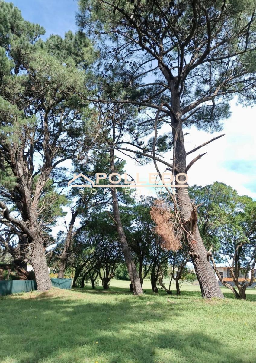 Foto de Lote en Venta Barrio San Benito Chapatmalal, imagen 2